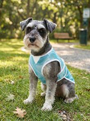 1pc Dog Cooling Vest, Pet Cooling Shirt With Reflective Stripes, UV Protection, Lightweight Breathable 3D Mesh Fabric, Suitable For Beach, Hiking, Walking And Other Outdoor Activities
