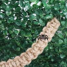 2pcs/Set Spider Jump Rope Bridge, Spider Jump Accessories Rope Bridge With Magnets, For Spider Jump Glass Container, Spider Shell Decor, Perfect Insect Habitat Decor, For Climbing, Resting And Exploring