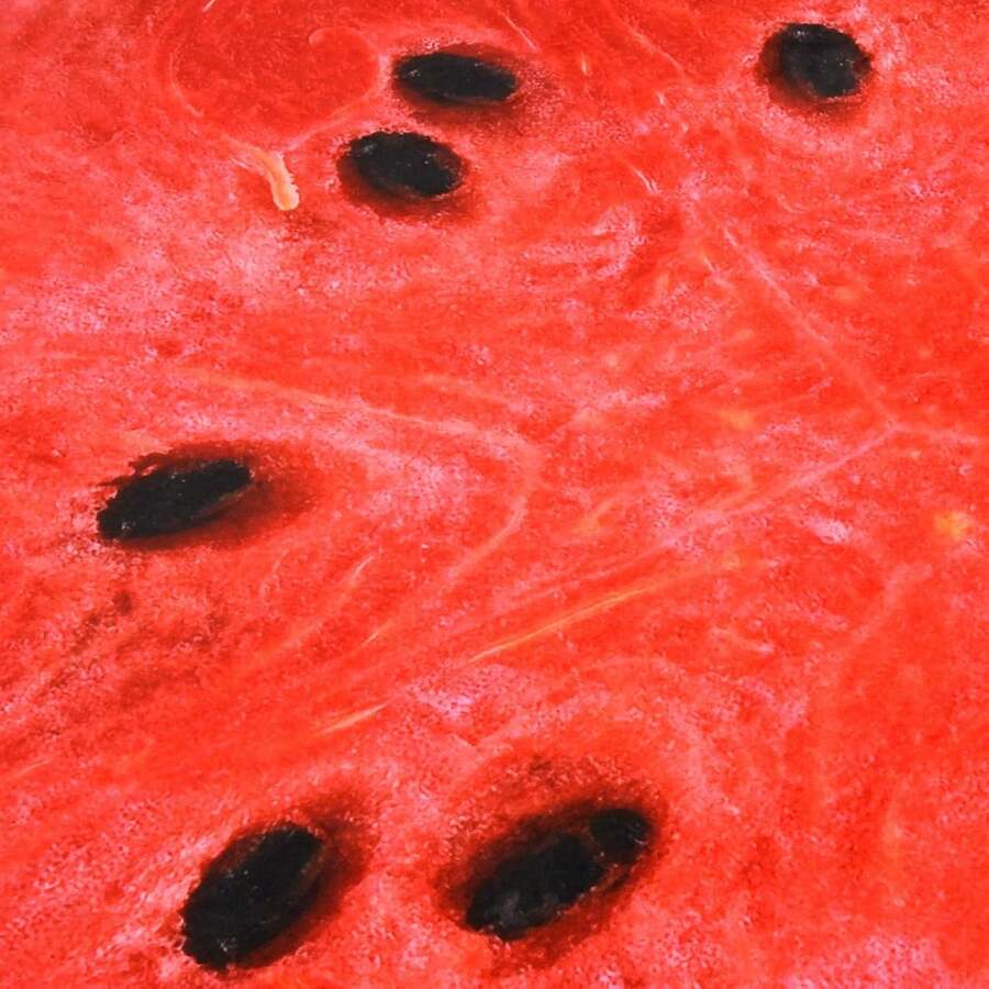 Udobno flanelsko ćebe sa printom krofni – mekano, toplo i udobno ćebe
