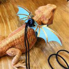 A Set Of Small Pet Leashes, Pet Supplies/Lizard, Reptile And Amphibian Supplies/Reptile And Amphibian Leashes And Cages; Small Pet Supplies