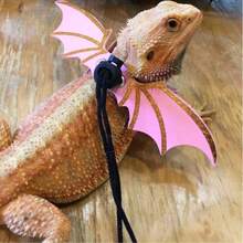 A Set Of Small Pet Leashes, Pet Supplies/Lizard, Reptile And Amphibian Supplies/Reptile And Amphibian Leashes And Cages; Small Pet Supplies