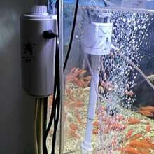 Quiet Aquarium Air Pump, Adjustable Air Flow Dual-Output Air Compressor, Fish Tank Oxygenator Pump, 220V-240V, 3.5W/8W