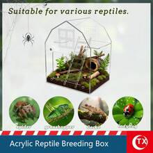 TX 8.81*6.8*6.02 Inch Jumping Spider Terrarium, High Transparency Acrylic House-Shaped Tank, Layered Landscape Design, Suitable For Geckos, Reptiles, Tarantulas And Amphibians. Home Decor, Desktop Small Landscape Display Box, Suitable For Humid And Dry Environments, Magnetic Front Opening Door To Prevent Larvae Escape, Multi-Sided Ventilation, With Window, Comes With Acrylic Ladder.