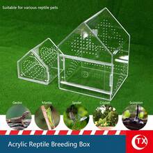 TX 8.81*6.8*6.02 Inch Jumping Spider Terrarium, High Transparency Acrylic House-Shaped Tank, Layered Landscape Design, Suitable For Geckos, Reptiles, Tarantulas And Amphibians. Home Decor, Desktop Small Landscape Display Box, Suitable For Humid And Dry Environments, Magnetic Front Opening Door To Prevent Larvae Escape, Multi-Sided Ventilation, With Window, Comes With Acrylic Ladder.