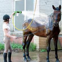 Pet Horse Bath Spray Nozzle With Adjustable High Pressure Spray Head, Soft Hose Dog Bath Spray Gun, Car Wash Gardening Animal Horse Cleaning Tool