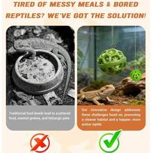 3pcs Reptile Feeding Ball Toy, Hanging Veggie Treat Feeder For Bearded Dragon, Interactive Enrichment Accessory For Lizard, Gecko, Chameleon, Hamster, Habitat Decor To Reduce Mess & Boredom