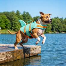 Metglad Dog Life Jacket - Stylish Color Pet Swimming Vest With Rescue Handle, High Buoyancy Anti Tear Dog Buoyant Vest, Suitable For Small, Medium, And Large Dogs