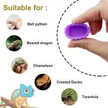 6pcs Random Color Mini Silicone Reptile Feeding Bowls, Bottle Cap-Style Water Dishes, Flexible Easy-Clean Accessory For Amphibians & Reptiles, All-Season Habitat Supply