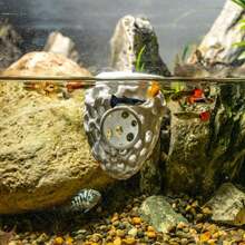 Shrimp Dome Hideout, Betta Fish Aquarium Tunnel (With Suction Cups), Aquarium Fish And Shrimp Cave Hideout Decoration Accessory, Suitable For Shrimp, Guppies And Other Small Fish To Hide And Rest
