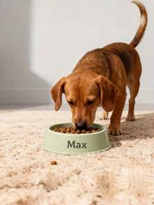 1pc Customized Personalized Pet Food Plate - Customize Your Pet Name Feeder, Suitable For Dogs And Cats - Ideal Choice For Food And Water, Perfect Commemorative Gift For All Breeds, Dog Bowl Gift Customization