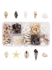 1 Box Multi-Style Decorative Shells, Home Decor, Room Decor, Aquarium Fish Habitat Optimization And Viewing, Ornamental Fish Breeding And Fishing, Natural Hole-Free Seashells And Starfish Decor, Fish Tank Aquarium Landscape Props Set, Pendant, Ideal Holiday Gift For Friends
