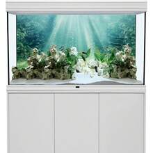 Sun Pattern Aquarium Background Painting, Aquarium Background Sticker, Reptile Cage Background Sticker, Self-Adhesive Front Sticker, Fish Tank Landscape Decoration, Aquarium Decor