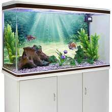 Sun Pattern Aquarium Background Painting, Aquarium Background Sticker, Reptile Cage Background Sticker, Self-Adhesive Front Sticker, Fish Tank Landscape Decoration, Aquarium Decor