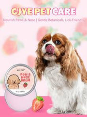 GJYC PET 6 Soothing Formula Dog Paw & Nose Balm - Repair Dry Cracked Paws & Nose | With Shea Butter & Coconut Oil | All Season Protection