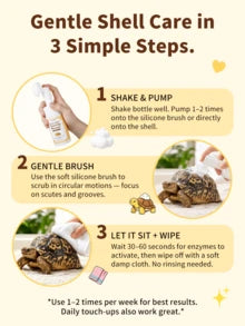 GJYC PET Turtle Shell Cleaning Mousse – Foaming No-Rinse Cleaner For Tortoise Shell, With Soft Silicone Brush Head, Removes Dirt & Odor, Gentle Plant-Based Formula – 3.38 Fl Oz
