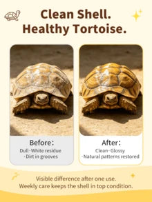 GJYC PET Turtle Shell Cleaning Mousse – Foaming No-Rinse Cleaner For Tortoise Shell, With Soft Silicone Brush Head, Removes Dirt & Odor, Gentle Plant-Based Formula – 3.38 Fl Oz