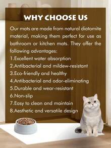 1PC Personalized Name And Photo Pet Mat, Custom Pet Food Mat, Minimalist Design Placemat, Anti-Slip Feeding Mat For Cats, Ideal For Pet Owners, Perfect Gift For Pet Lovers
