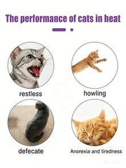 Pet Calming Soothing Spray For Dogs & Cats, Natural Heat Cycle Relief Spray, Reduce Restlessness, Noisy Meowing & Pacing, Gentle Herbal Soothing Liquid To Calm Anxious Pets During Estrus, For Male & Female Pets