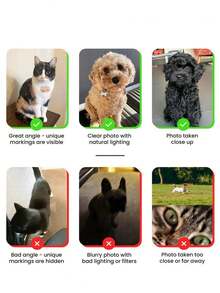 Customized Pet Portrait Bookmark, Personalized Cat And Dog Photo Bookmark, Personalized Dog Memorial Gift, Pet Lover Gift, Unique Gift For Book Lovers And Readers