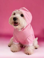 Strawberry Shortcake X SHEIN 1 Cute Cartoon Pattern Printed Pet Hooded Sweatshirt, Cat Clothes, Dog Clothes, Size XXS-XXXXL, Strawberry, Sweet, Pastoral.