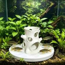 1PC White Tree Stump Fish Tank Hideout, Aquarium Landscape Decoration Fish & Shrimp Breeding Hiding Cave, Realistic Driftwood Resin Ornament, & Odorless, For Fish, Creative Tree Hollow Design With Multiple Openings For Easy Access, Provides Security And Reduces Stress For Ornamental Fish, Suitable For Small Tropical Fish, Betta, Parrot Fish, Creates Natural Environment, Combines Aquarium Beautification And Practicality