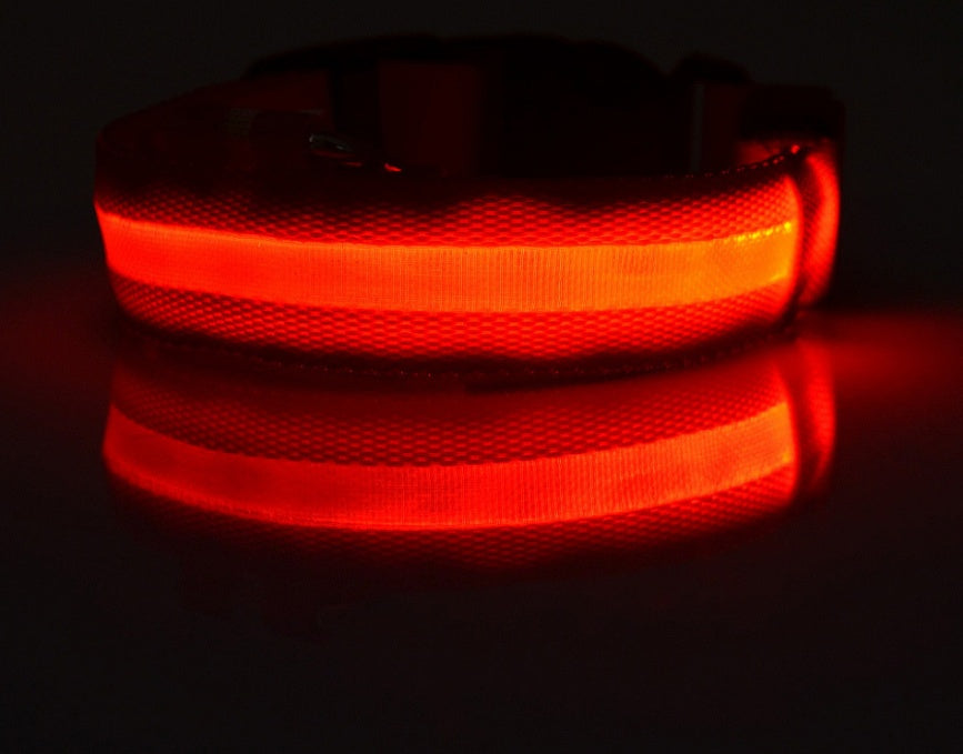 LED ogrlica #2