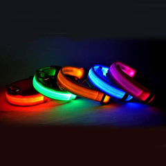LED ogrlica #2