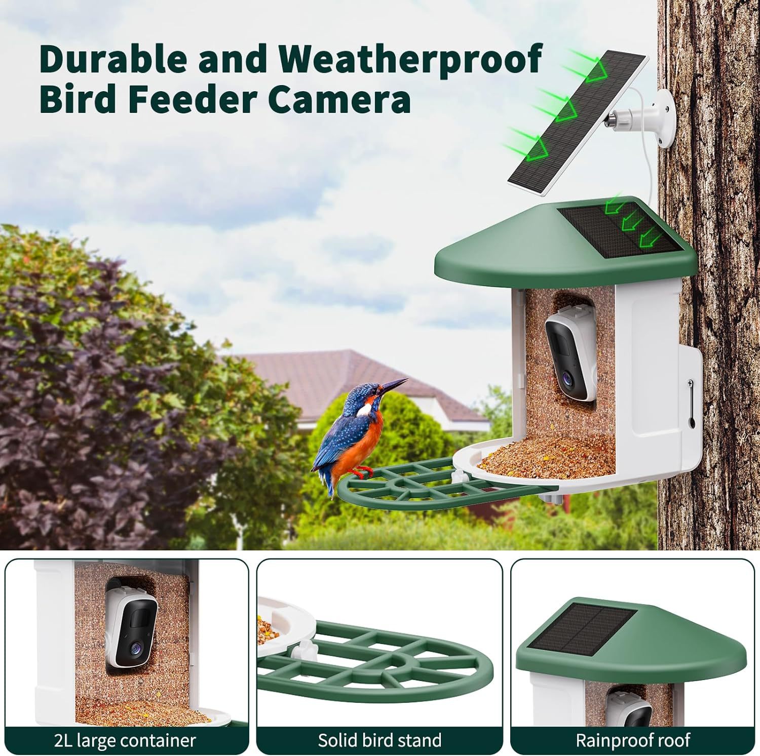Smart Feeder Wireless Kamera