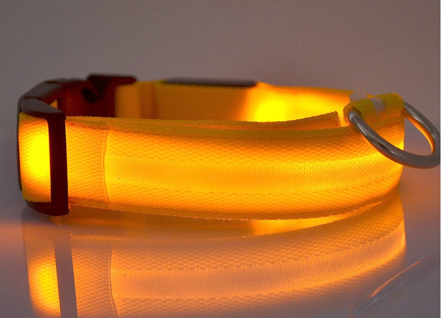 LED ogrlica #2