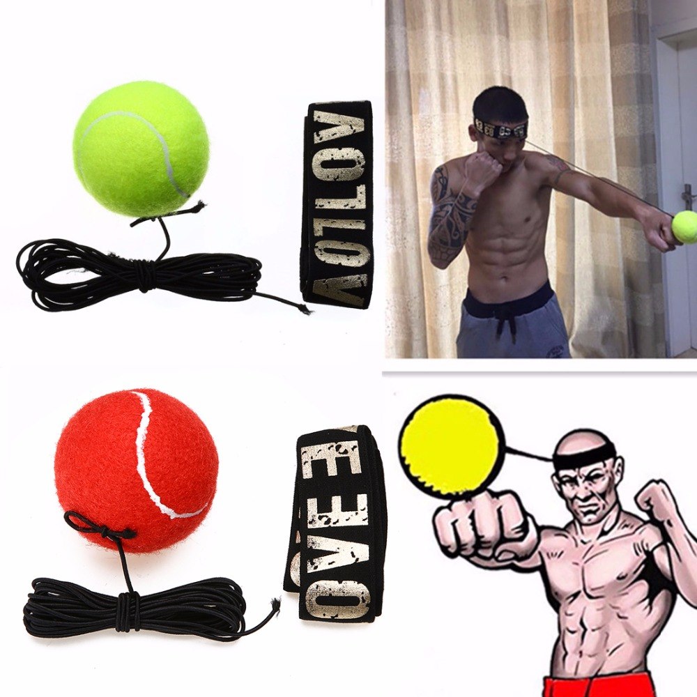 Bokser Fight Ball