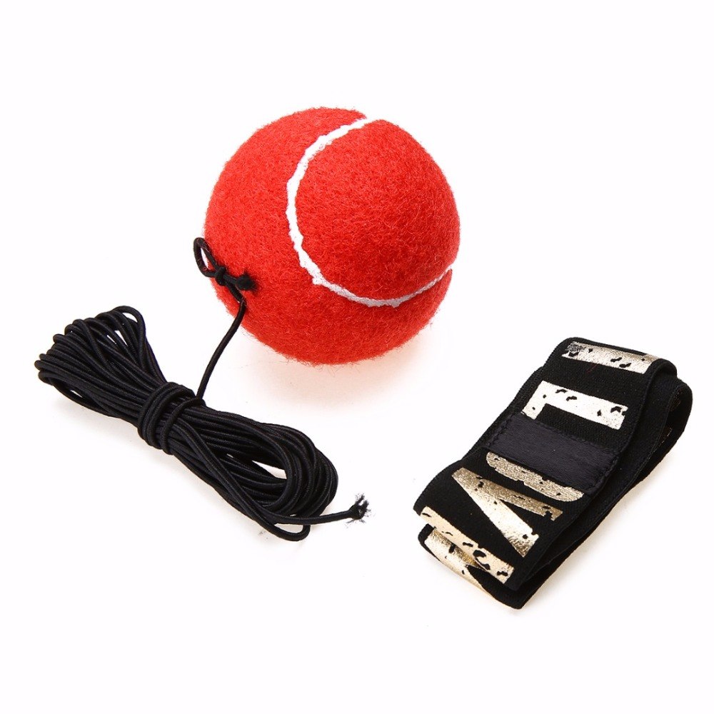 Bokser Fight Ball