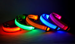 LED ogrlica #2