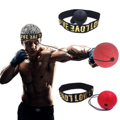 Bokser Fight Ball