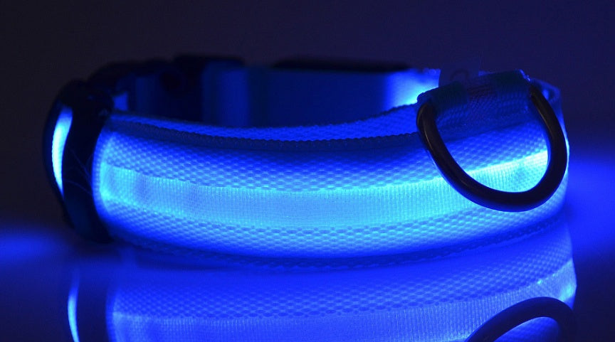 LED ogrlica #2