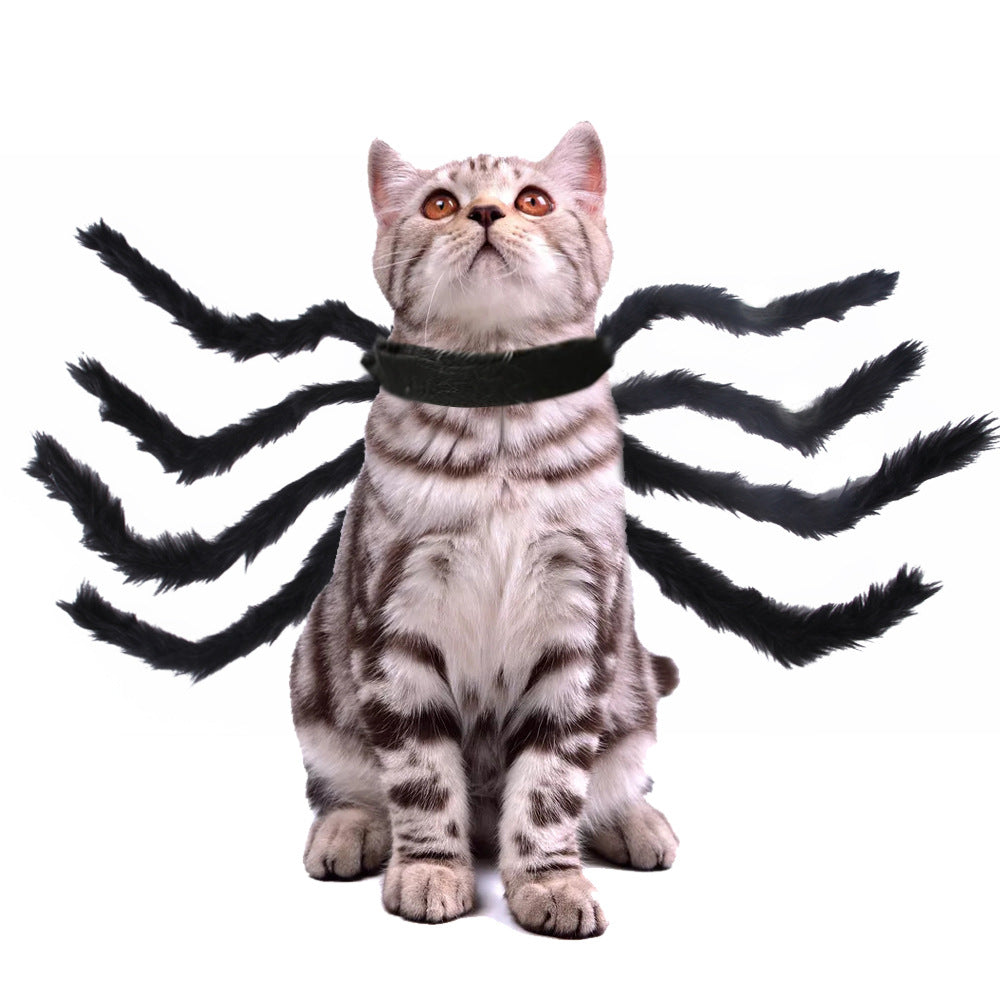 Halloween kostim za ljubimce
