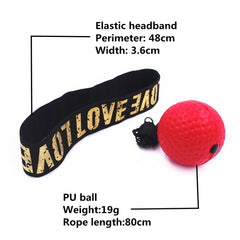 Bokser Fight Ball