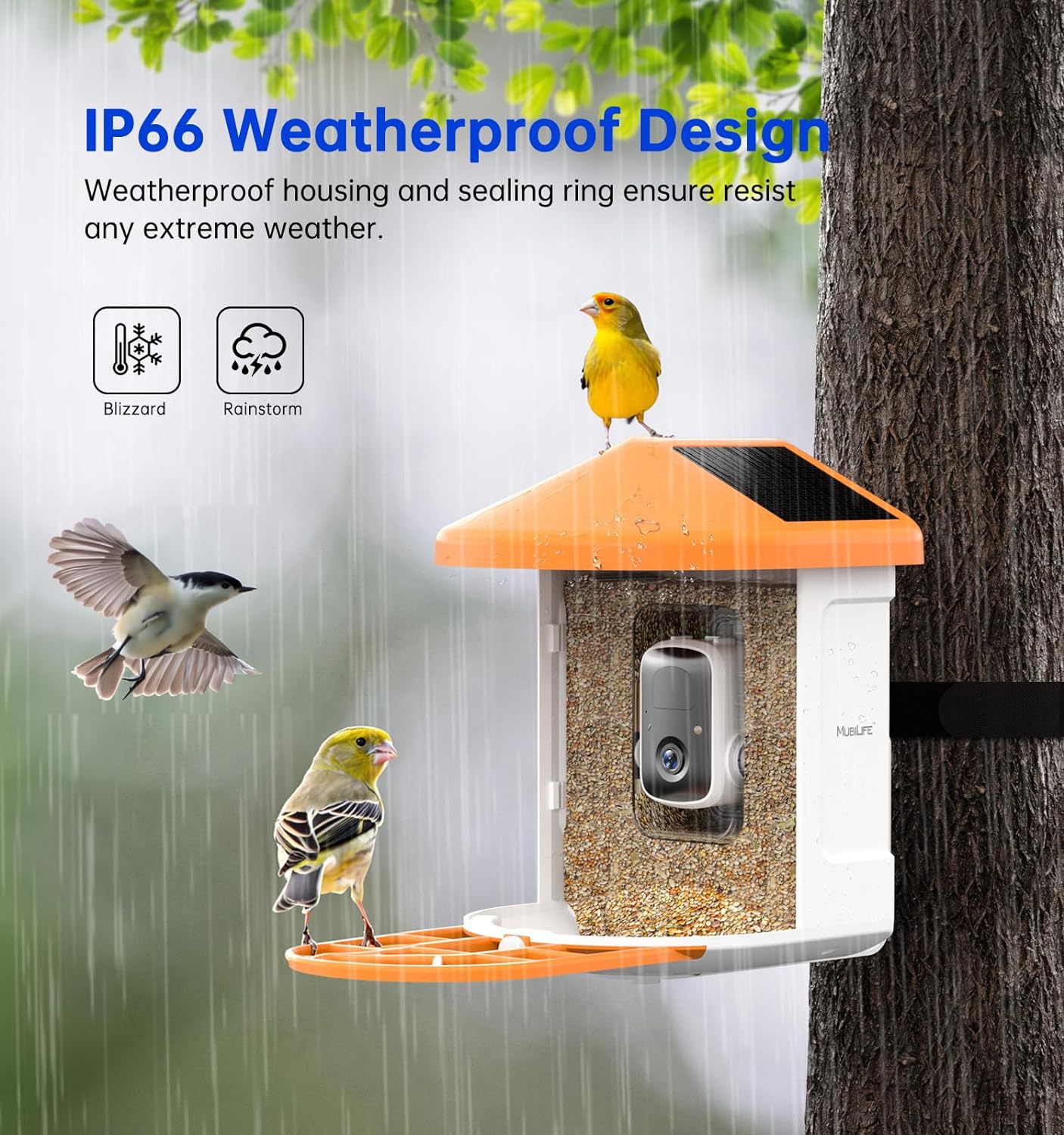 Smart Feeder Wireless Kamera