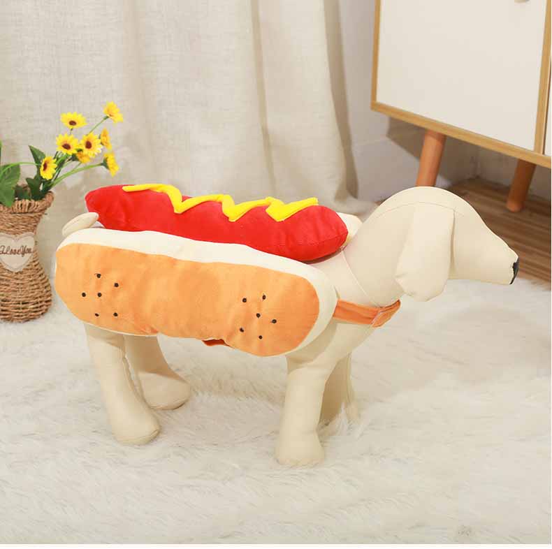 Costumes za ljubimce