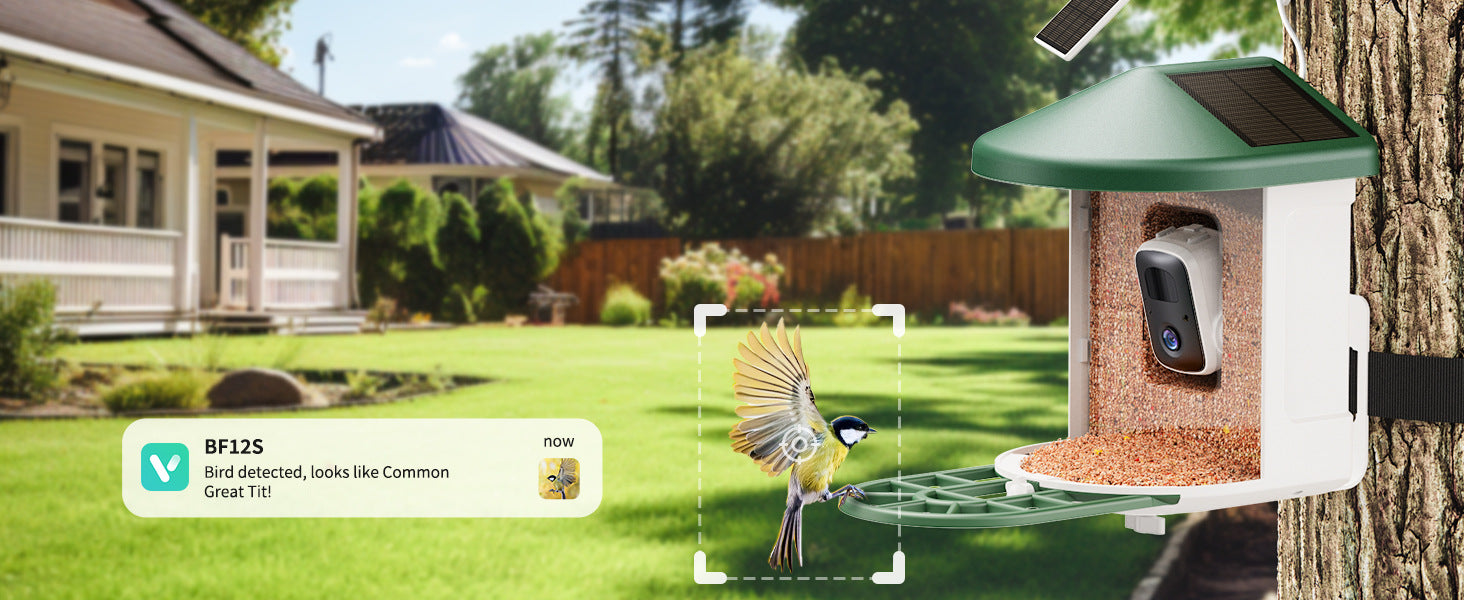 Smart Feeder Wireless Kamera